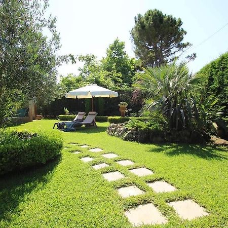Peter'S Country House Κατάκολο Εξωτερικό φωτογραφία
