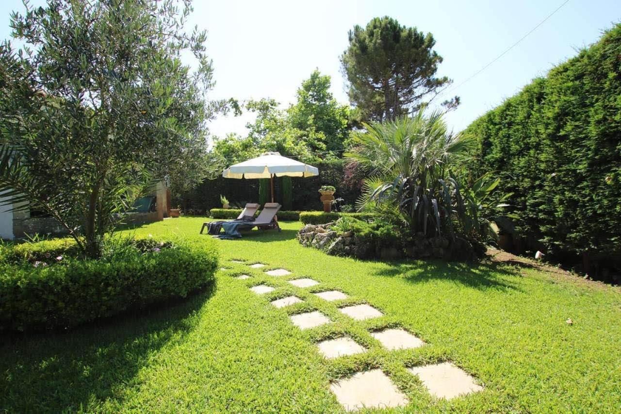 Peter'S Country House Κατάκολο Εξωτερικό φωτογραφία