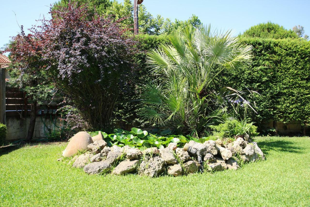 Peter'S Country House Κατάκολο Εξωτερικό φωτογραφία